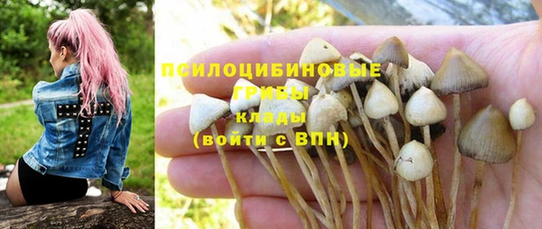 прущие крисы Алзамай